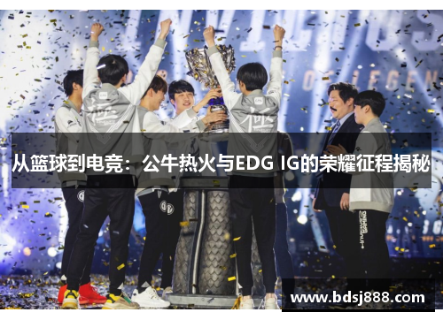 从篮球到电竞：公牛热火与EDG IG的荣耀征程揭秘